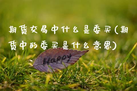 期货交易中什么是委买(期货中的委买是什么意思)_https://www.fansifence.com_中国国际期货_第1张