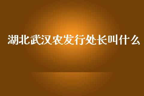 湖北武汉农发行处长叫什么_https://www.fansifence.com_恒指交易时间_第1张