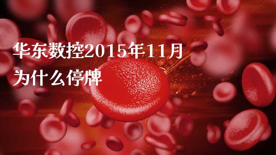 华东数控2015年11月为什么停牌_https://www.fansifence.com_国际期货_第1张