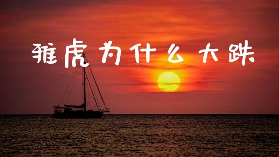 雅虎为什么大跌_https://www.fansifence.com_国际期货_第1张