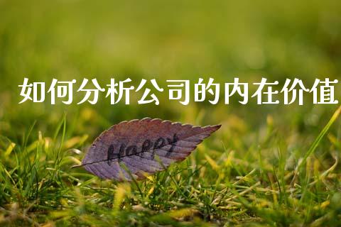 如何分析公司的内在价值_https://www.fansifence.com_中国国际期货_第1张