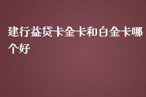 建行益贷卡金卡和白金卡哪个好_https://www.fansifence.com_中国国际期货_第1张