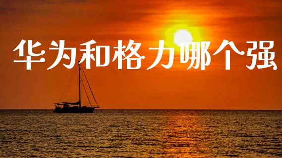 华为和格力哪个强_https://www.fansifence.com_中国国际期货_第1张