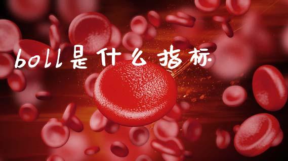boll是什么指标_https://www.fansifence.com_国际期货行情_第1张