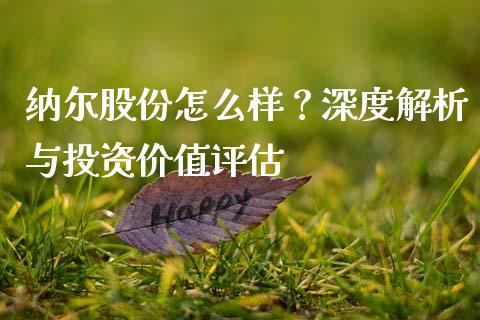 纳尔股份怎么样？深度解析与投资价值评估_https://www.fansifence.com_中国国际期货_第1张