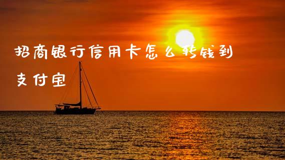 招商银行信用卡怎么转钱到支付宝_https://www.fansifence.com_中国国际期货_第1张