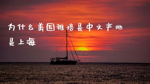 为什么美国雅培是中文产地是上海_https://www.fansifence.com_国际期货行情_第1张