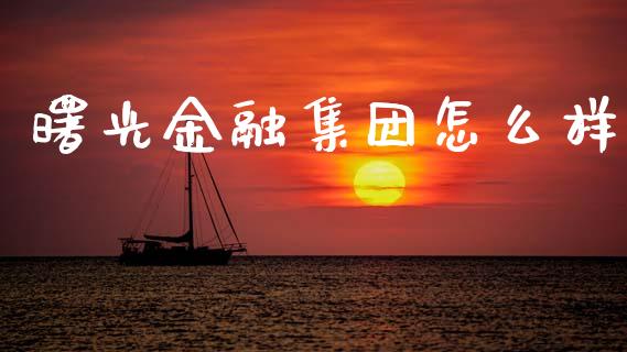 曙光金融集团怎么样_https://www.fansifence.com_国际期货_第1张