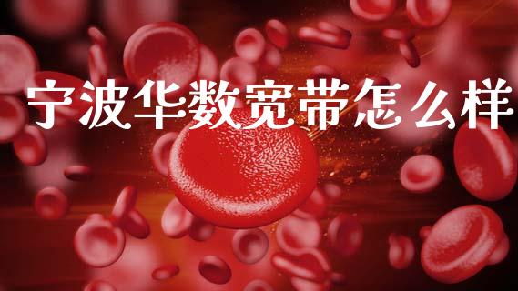 宁波华数宽带怎么样_https://www.fansifence.com_恒指交易时间_第1张