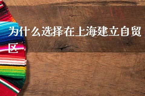为什么选择在上海建立自贸区_https://www.fansifence.com_国际期货行情_第1张