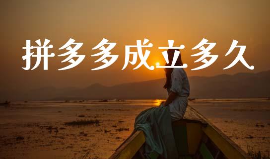 拼多多成立多久_https://www.fansifence.com_国际期货_第1张