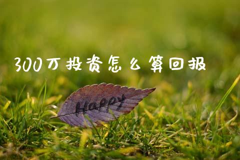 300万投资怎么算回报_https://www.fansifence.com_国际期货行情_第1张