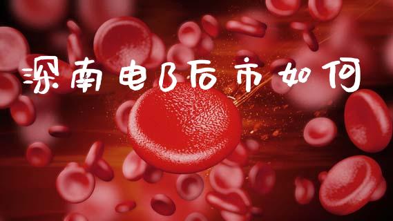深南电B后市如何_https://www.fansifence.com_恒指交易时间_第1张
