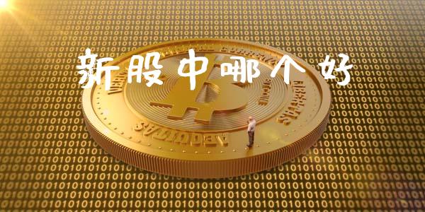 新股中哪个好_https://www.fansifence.com_中国国际期货_第1张