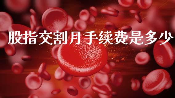 股指交割月手续费是多少_https://www.fansifence.com_国际期货_第1张