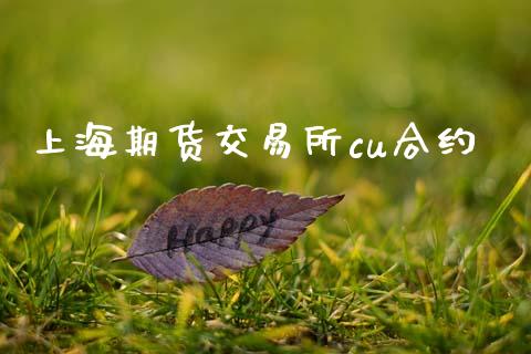 上海期货交易所cu合约_https://www.fansifence.com_中国国际期货_第1张