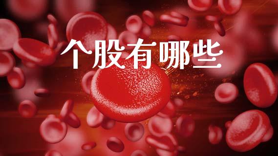 个股有哪些_https://www.fansifence.com_国际期货行情_第1张