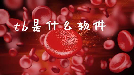 tb是什么软件_https://www.fansifence.com_中国国际期货_第1张