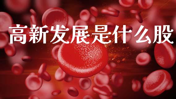 高新发展是什么股_https://www.fansifence.com_国际期货_第1张