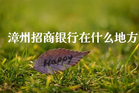 漳州招商银行在什么地方_https://www.fansifence.com_国际期货行情_第1张