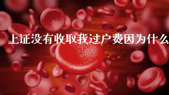 上证没有收取我过户费因为什么_https://www.fansifence.com_国际期货行情_第1张