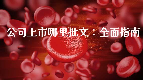 公司上市哪里批文:全面指南_中国国际期货_第1张_国际期货_中国国际期货_恒指交易时间_国际期货行情 公司上市哪里批文:全面指南_https://www.fansifence.com_中国国际期货_第1张