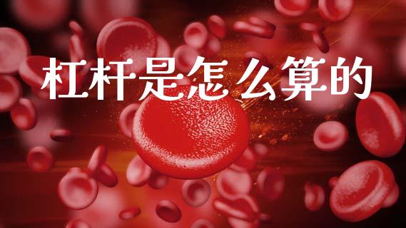 杠杆是怎么算的_https://www.fansifence.com_国际期货_第1张
