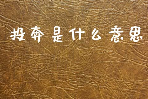 投奔是什么意思_https://www.fansifence.com_国际期货行情_第1张