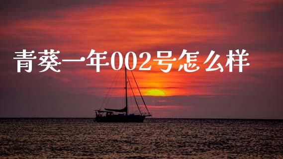 青葵一年002号怎么样_https://www.fansifence.com_国际期货行情_第1张