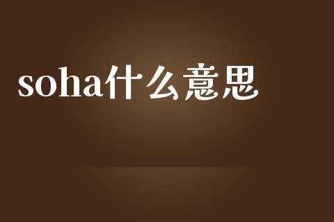 soha什么意思_https://www.fansifence.com_国际期货行情_第1张