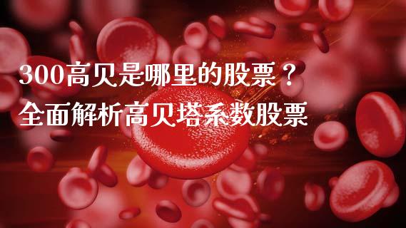 300高贝是哪里的股票？全面解析高贝塔系数股票_https://www.fansifence.com_恒指交易时间_第1张