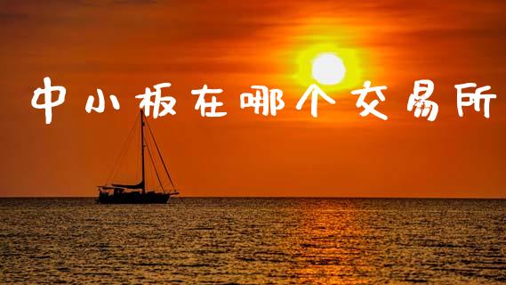 中小板在哪个交易所_https://www.fansifence.com_中国国际期货_第1张
