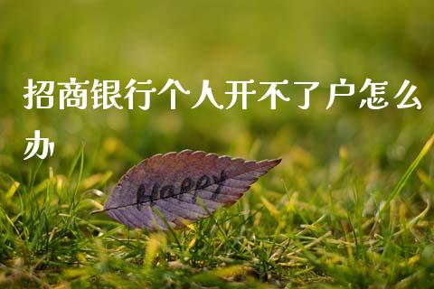 招商银行个人开不了户怎么办_https://www.fansifence.com_国际期货_第1张