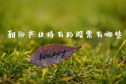 朝阳产业持有的股票有哪些_https://www.fansifence.com_国际期货_第1张