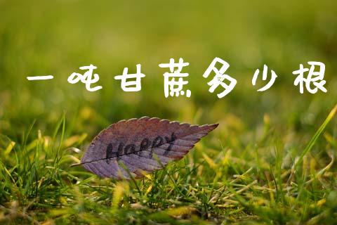 一吨甘蔗多少根_https://www.fansifence.com_恒指交易时间_第1张