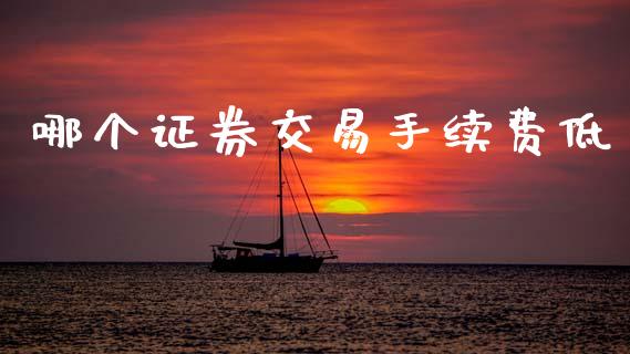 哪个证券交易手续费低_https://www.fansifence.com_国际期货_第1张