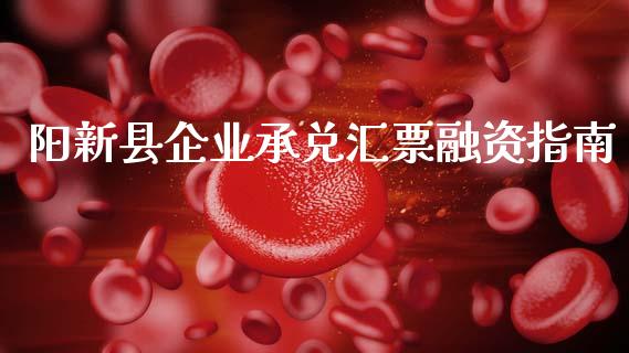阳新县企业承兑汇票融资指南_https://www.fansifence.com_国际期货_第1张