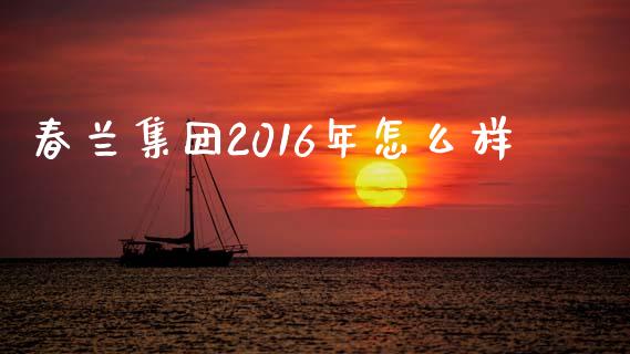春兰集团2016年怎么样_https://www.fansifence.com_国际期货行情_第1张