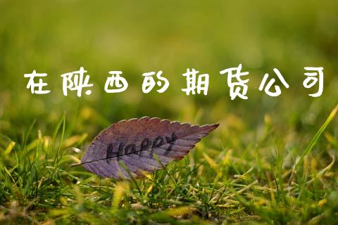 在陕西的期货公司_https://www.fansifence.com_中国国际期货_第1张