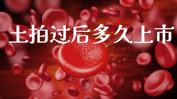 土拍过后多久上市_https://www.fansifence.com_中国国际期货_第1张