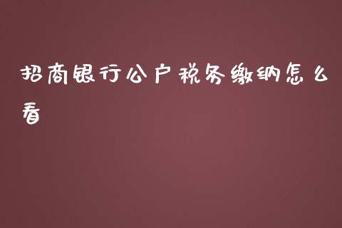 招商银行公户税务缴纳怎么看_https://www.fansifence.com_中国国际期货_第1张