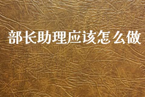部长助理应该怎么做_https://www.fansifence.com_国际期货_第1张