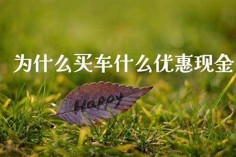 为什么买车什么优惠现金_https://www.fansifence.com_国际期货行情_第1张