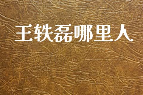 王轶磊哪里人_https://www.fansifence.com_国际期货行情_第1张