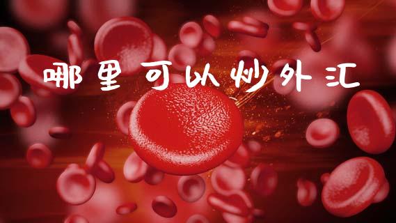 哪里可以炒外汇_https://www.fansifence.com_中国国际期货_第1张