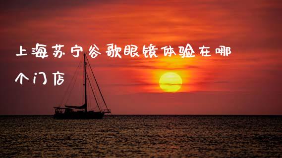 上海苏宁谷歌眼镜体验在哪个门店_https://www.fansifence.com_国际期货行情_第1张