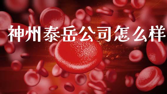 神州泰岳公司怎么样_https://www.fansifence.com_国际期货行情_第1张