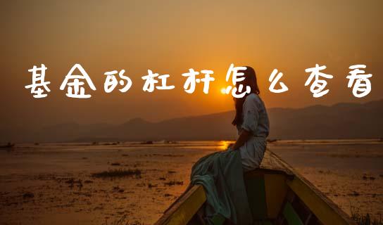 基金的杠杆怎么查看_https://www.fansifence.com_国际期货_第1张