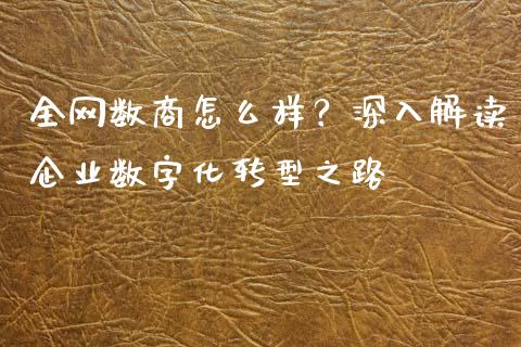 全网数商怎么样？深入解读企业数字化转型之路_https://www.fansifence.com_中国国际期货_第1张
