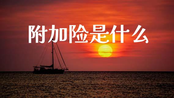 附加险是什么_https://www.fansifence.com_国际期货行情_第1张